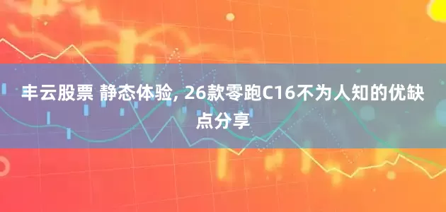 丰云股票 静态体验, 26款零跑C16不为人知的优缺点分享